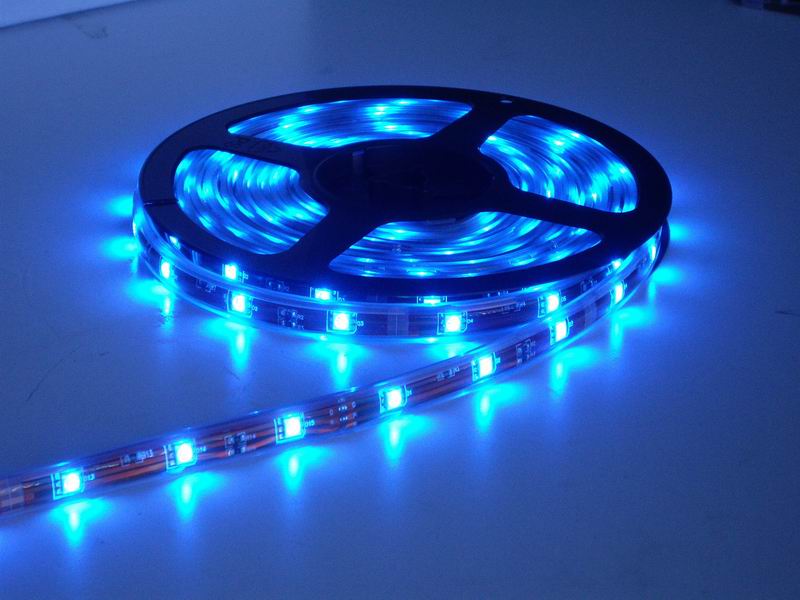 LED Article lights 5050(m/60lights)